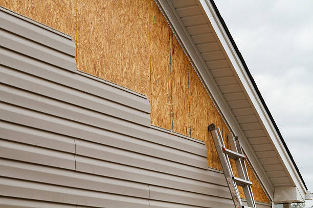 Professional Wood Siding technician working in Hyde Park, MA